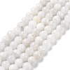 Natural Rainbow Moonstone Beads Strands G-I249-B04-02-8