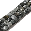 Natural Eagle Eye Stone Beads Strands G-C109-A15-02-1