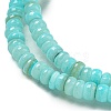 Dyed Natural Freshwater Shell Beads Strands BSHE-G039-07C-3