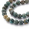 Natural Chrysocolla Beads Strands G-S376-004B-3