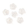Natural White Shell Beads SSHEL-C012-23A-1