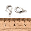 Rack Plating Brass Lobster Claw Clasps KK-F090-27P-02-3