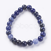 Natural Sodalite Beads Strands X-G-G515-8mm-07-2