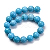 Dyed Natural Magnesite Beads Strands G-P558-A01-01A-3