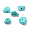 Natural Magnesite Beads Strands TURQ-P001-02A-07-4