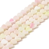 Handmade Lampwork Beads Strands LAMP-Q035-01B-1
