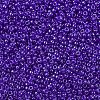 MIYUKI Round Rocailles Beads SEED-G007-RR0176-3