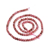 Natural Rhodonite Beads Strands G-C009-A18-3