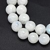 Natural Rainbow Moonstone Beads Strands G-F602-03-10mm-3