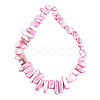 Natural Freshwater Shell Beads Strands SHEL-N026-123B-3