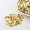 Ornament Accessories Plastic Paillette/Sequins Beads PVC-E001-13-LS01-1