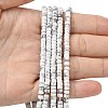 Natural Howlite Heishi Beads Strands G-A299-A08-01-2