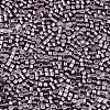FGB 11/0 Grade A Glass Seed Beads SEED-S030-1204-2