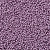 MIYUKI Delica Beads X-SEED-J020-DB0800-3
