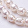 Natural Cultured Freshwater Pearl Beads Strands PEAR-P002-24-3