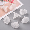 Transparent Acrylic Beads BSF796-8