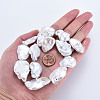 Natural Keshi Pearl Beads Strands PEAR-S020-V01-6