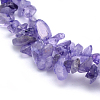 Natural Amethyst Beads Strands G-P332-06-2
