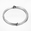 Round Aluminum Craft Wire AW-D009-1mm-10m-01-1