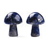 Natural Sodalite GuaSha Stone G-N0325-02V-4