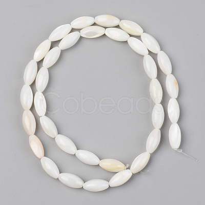 Natural Freshwater Shell Beads Strands SSHEL-R048-008-1