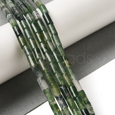 Natural Moss Agate Beads Strands G-B091-A10-01-1