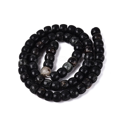 Natural Biotite Beads Strands G-Q616-02A-12-1