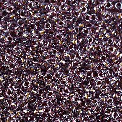 MIYUKI Round Rocailles Beads SEED-G009-RR3206-1