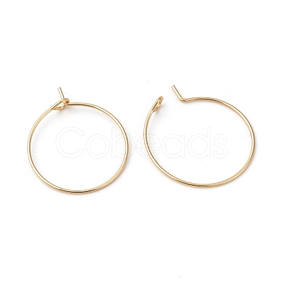 316L Surgical Stainless Steel Hoop Earring Findings STAS-G229-07G-06A-1