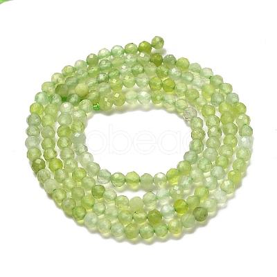 Natural Xiuyan Jade Beads Strands G-Z074-A04-01-1