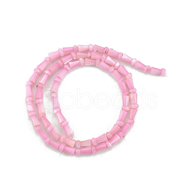 Natural Freshwater Shell Beads Strands SHEL-G013-02A-1