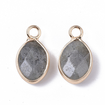 Natural Labradorite Pendants G-S359-014A-1