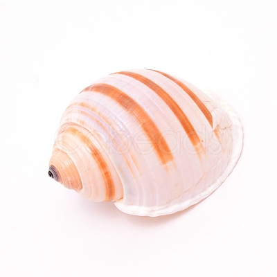 Natural Shell DJEW-WH0010-70-1
