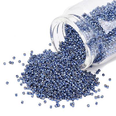 MIYUKI Delica Beads X-SEED-J020-DB2517-1