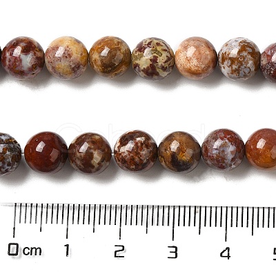 Natural Ocean Jasper Beads Strands G-H298-A13-03-1