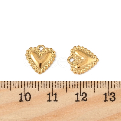 304 Stainless Steel Charms X-STAS-P396-06G-1