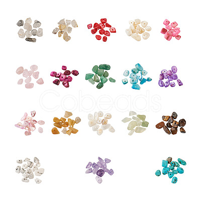 360g 18 Colors Freshwater Shell & Gemstone Chip Bead Sets G-CW0001-01-1