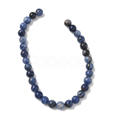 Natural Sodalite Beads Strands G-G515-6mm-07-1