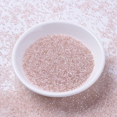 MIYUKI Delica Beads SEED-X0054-DB1243-1