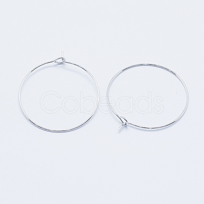 Long-Lasting Plated Brass Hoop Earrings Findings LS-KK-K204-179P-NF-1