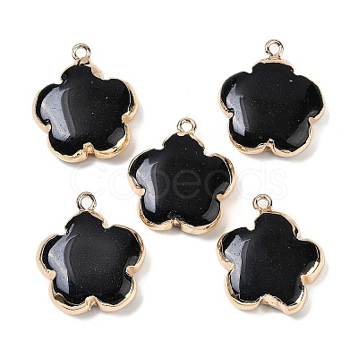 Natural Black Stone Pendants G-P566-01G-11-1