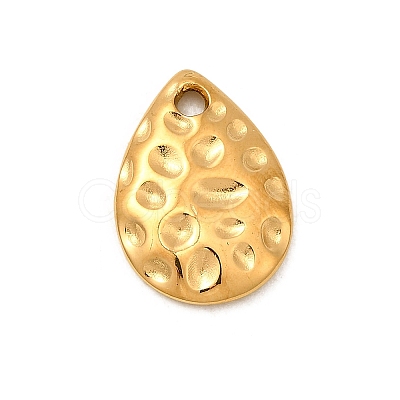 304 Stainless Steel Charms X1-STAS-Z157-15G-1