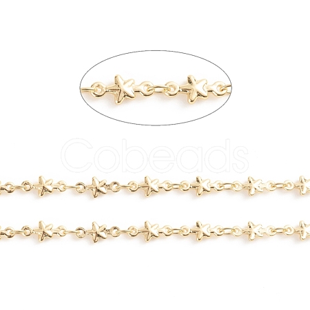 Brass Star Link Chains CHC-E021-12A-1
