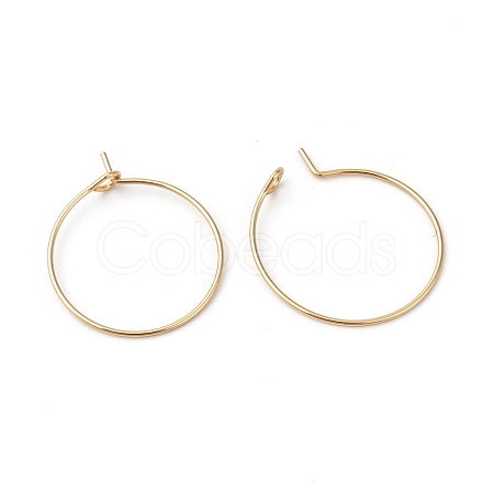 316L Surgical Stainless Steel Hoop Earring Findings STAS-G229-07G-06A-1