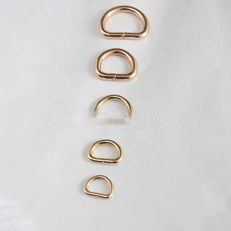 Iron D Ring LS-PURS-PW0001-400J-LG-1