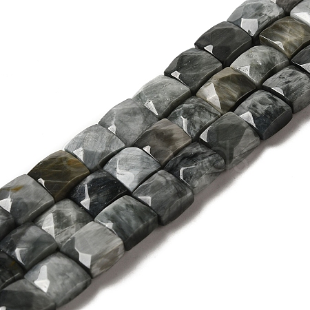 Natural Eagle Eye Stone Beads Strands G-C109-A15-02-1