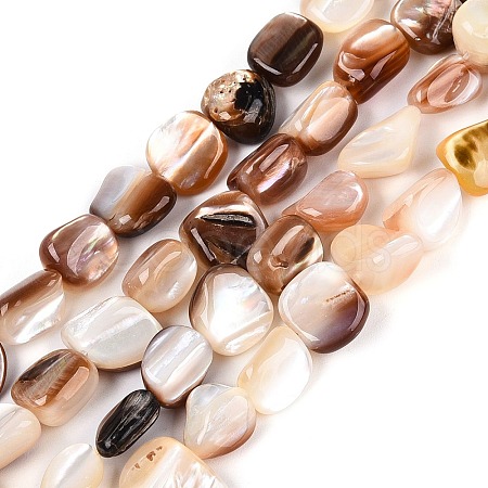 Natural Freshwater Shell Beads Strands SHEL-Q030-01-1