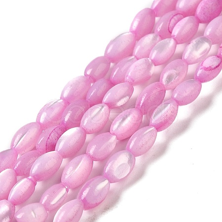 Natural Trochus Shell Beads Strands SHEL-K006-19A-1