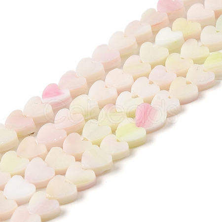 Handmade Lampwork Beads Strands LAMP-Q035-01B-1