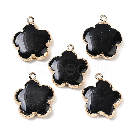 Natural Black Stone Pendants G-P566-01G-11-1